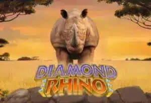 This is Vegas Diamond Rhino